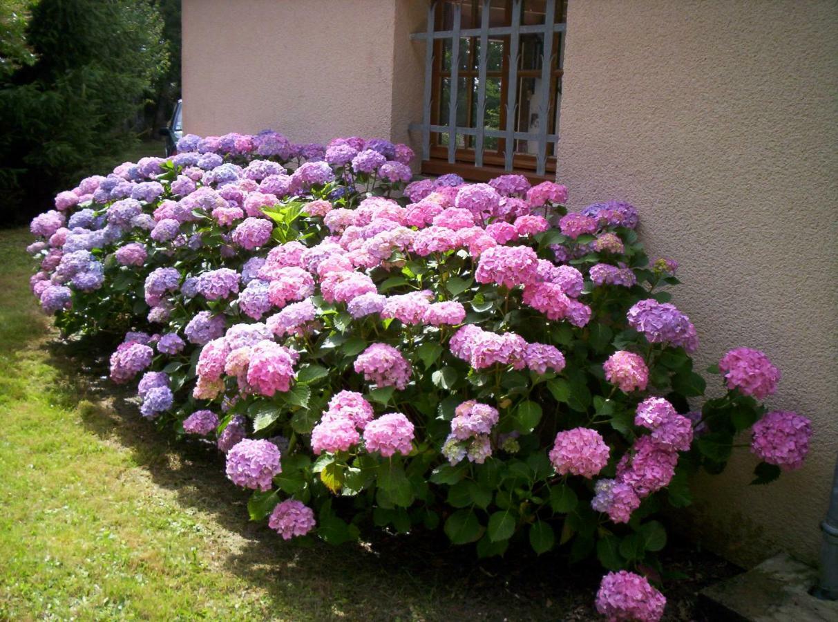 Maison De Vacances Macou 2 Capdrot Екстериор снимка